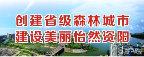 欧州老肥婆操逼视频创建省级森林城市 建设美丽怡然资阳